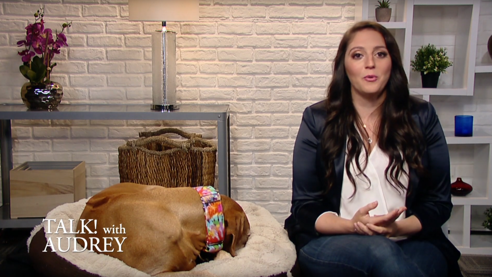 Dr Lisa Lippman – TALK with AUDREY