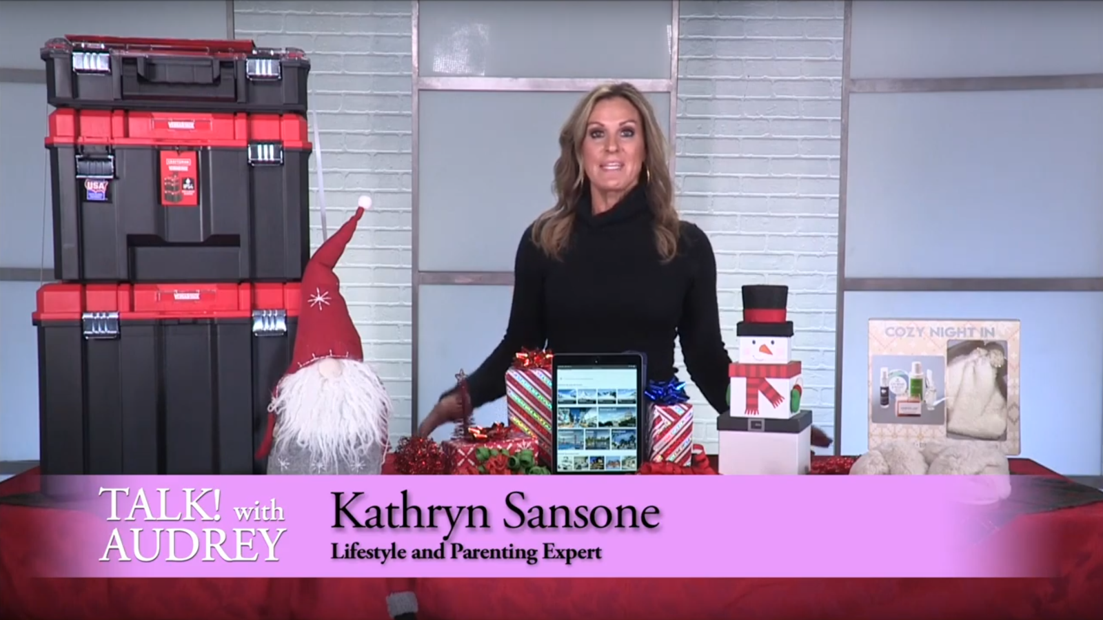 Kathryn Sansone-Holiday Gift Ideas – TALK! with AUDREY TV